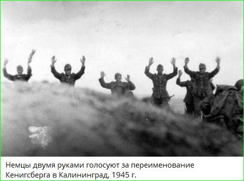 Немцы двумя руками голосуют за переименование Кенигсберга в Калининград, 1945 г.