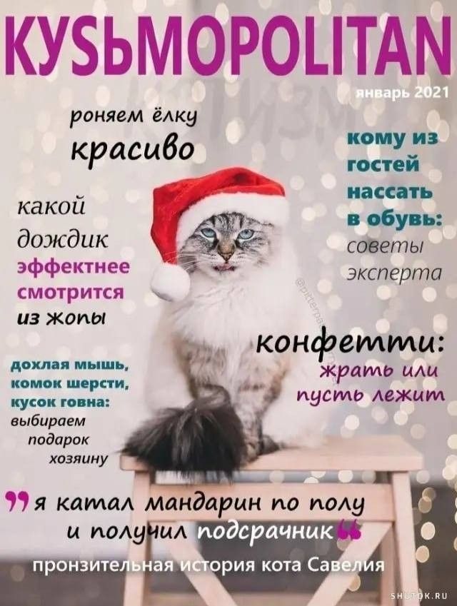 КУБЬМОРОЦТАМ роняем ёлку и красиво ит какои т дОЖдиК советы ЗФФЭИТНЕЕ эксперта СМОТРИСИ из жопы конфетти жрать или О пусть мжим ш и иц ку выбираем подарок хозяину __ г я кама мандарин на ухо И ИВАН ИА ИОВРЙЧНИК рия кота Са
