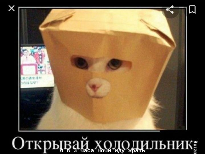 ОТКРЬЦВЗЁАСЩЩЪИЛЬНИКЁ