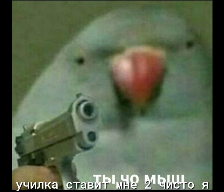 шузы мне 2 итого