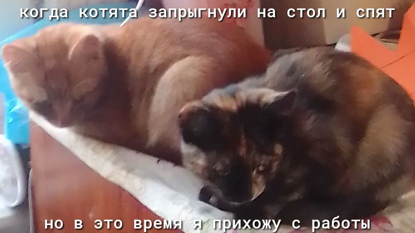 _ И но в это вре пгс_работыі_