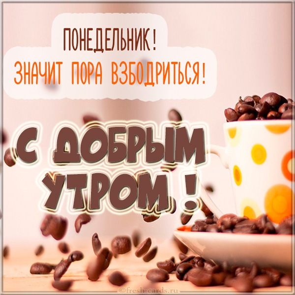 ПОНЕДЕЛЬНИК и СДОИд 33