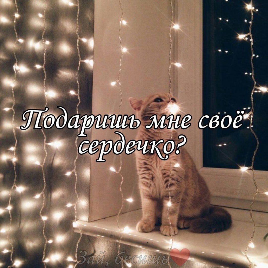 иШЁдартшь мЁе своей д сердеукр а _ и _ г и ч д м Ющ