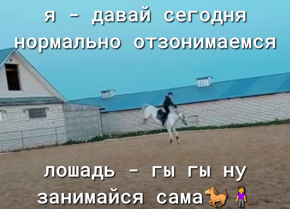 я давай сегодня нормально отзонимаемся 83 лошадь гы гы ну занимайся самаіцй