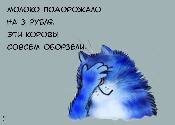 хм МОАОКО ПОАОРОЖААО НА 3 РУБЮ ЭТИ КОРОЗЫ СОВСЕМ ОБОРЗЕАИ
