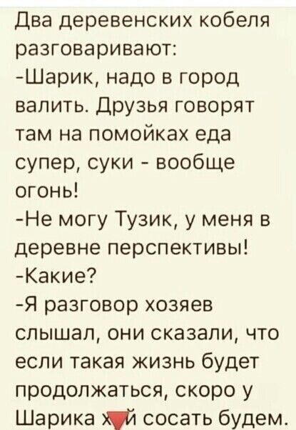 Два деревенских кобеля разговаривают Шарик надо в город валить Друзья говорят там на помойках еда супер суки вообще огонь Не могу Тузик у меня в деревне перспективы Какие Я разговор хозяев слышал они сказали что если такая жизнь будет продолжаться скоро у Шарика ій сосать будем