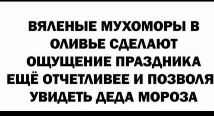 ВЯАЕНЫЕ МУХОМОРЫ В ОАИВЬЕ САЕААЮТ ОЩУЩЕНИЕ ПРАЗДНИКА ЕЩЁ ОТЧЕТИВЕЕ И ПОЗВОАЯ УВИДЕТЬ АЕАА МОРОЗА