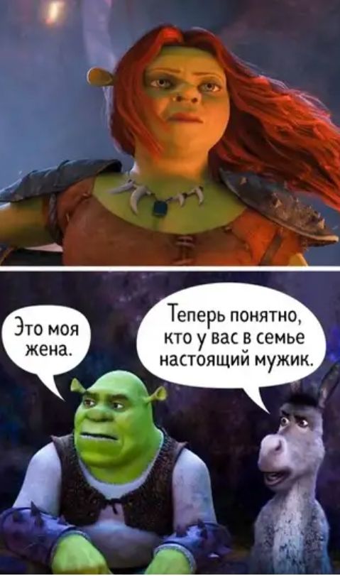 ч и д 1 _ А 3 Теперь понятно Т кто у вас в семье жена настоя ЩИй МУЖИК