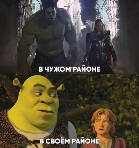 свойм ьдйед ___
