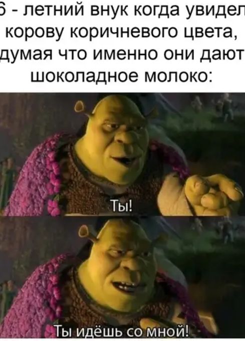 летний внук когда увиде корову коричневого цвета думая ЧТО ИМЕННО ОНИ дают ШОКОЛЭДНОЭ МОЛОКО Ты Ты идёшь со мной