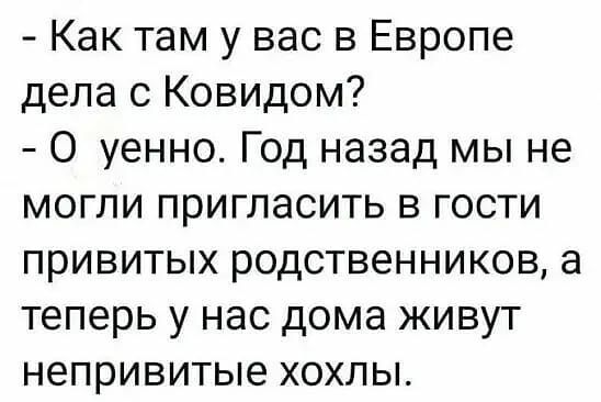 Как там у вас в Европе дела с Ковидом О уенно Год назад мы не могли пригласить в гости привитых родственников а теперь у нас дома живут непривитые хохлы