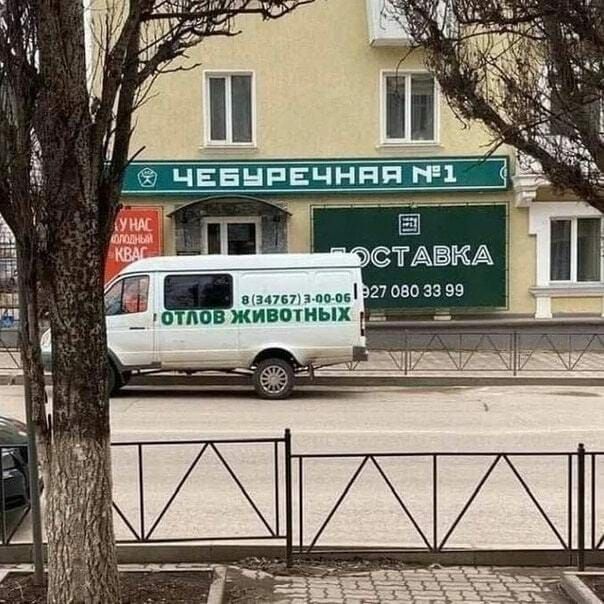 отлоВ ЖивотнЫ