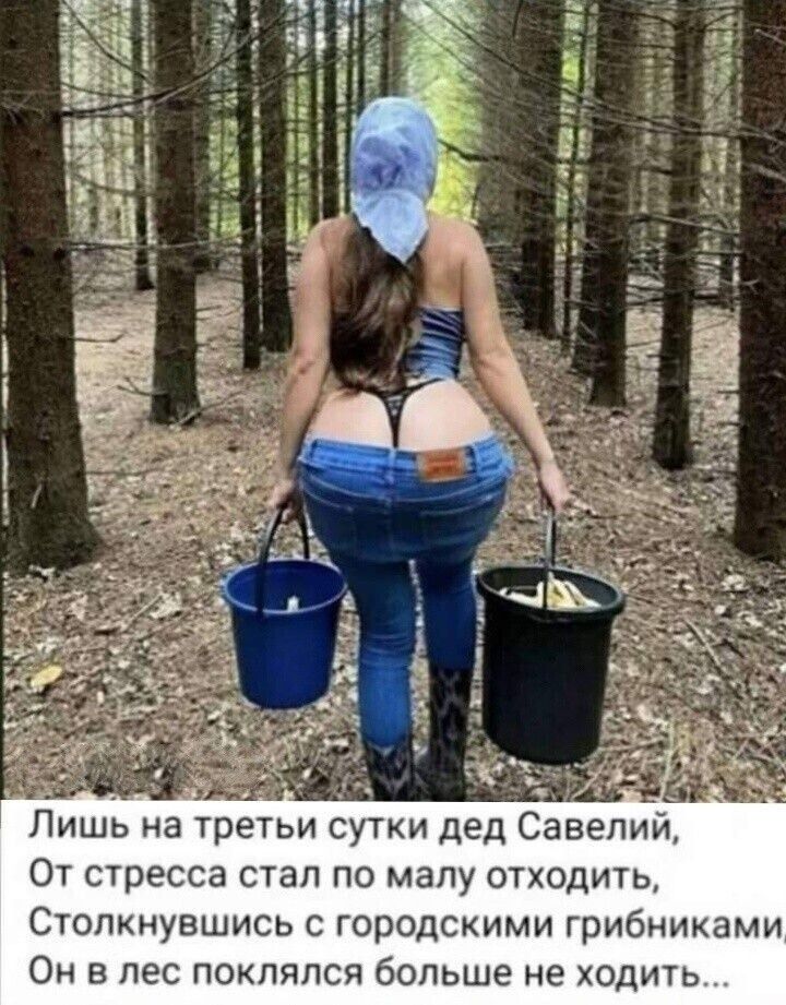 От стресса стал по мапу отходить Столкнувшись с городскими грибниками Он в лес поклялся больше не ходить