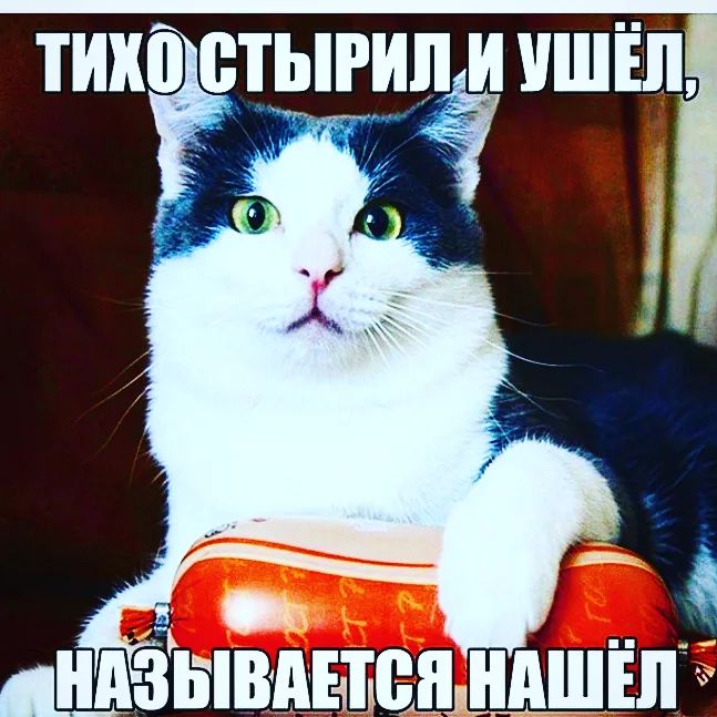 ТИХП ТЩі ШЁП _х м __ ндз ВШАЪШШШАШЕЛ