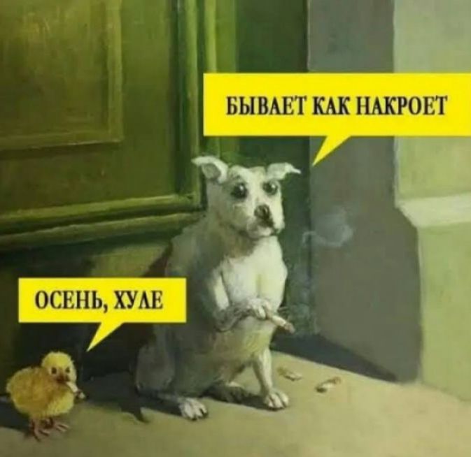БЫВАЕТ КАК НАКРОЕТ