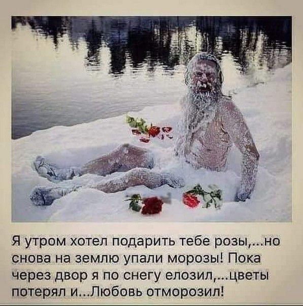 Я утром хотел подарить тебе розыно снова на землю упали морозы Пока через двор я по снегу елозипцветы потерял иЛюбовь отморозил