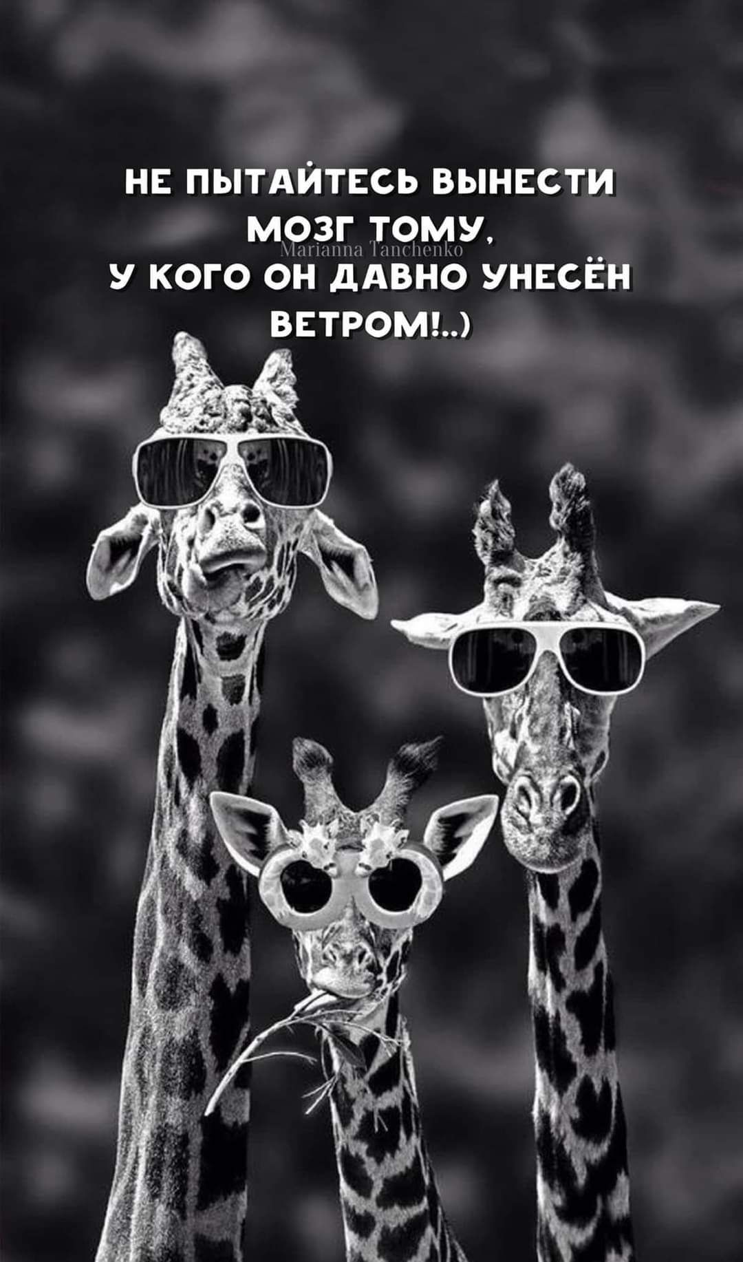 нв пытдйтвсь вынвсти мрзг у кого он дАвно унвсён встромы