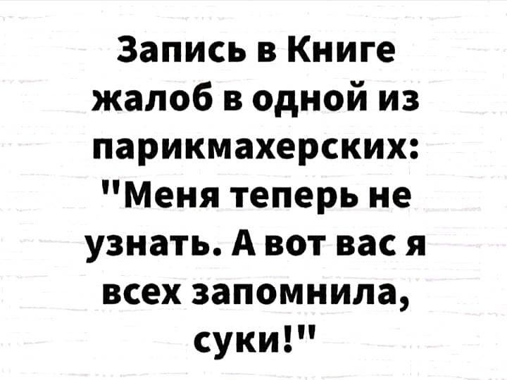 Запись в книге жалоб в одной из парикмахерских: 