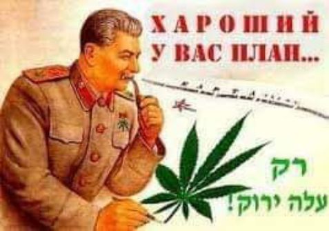 1» хароший ! У вас плам...