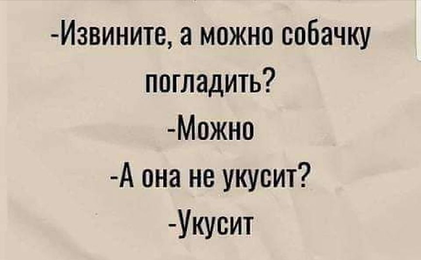 Извините, а можно собачку погладить? Можно а она не укусит? Укусит