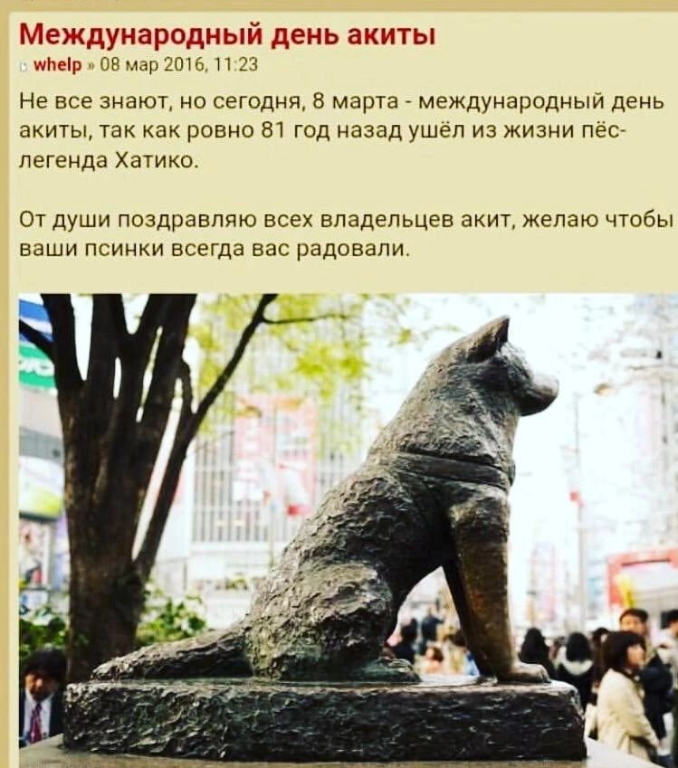 Мехідугюродиыйдень киты шічсір 08 мар ЗОШ 3 Не все знают но сегодня 8 марта международный день акиты так как ровно 81 год назад ушел из жизни пёс легенда Хатико ОТ ДУШИ ПОЗДРЗВПЯЮ всех владельцев ЗКИТ ЖЕПЗЮ ЧТОБЫ ВЭШИ ПСИНКИ ВСЭГДЭ ВЭС радовали