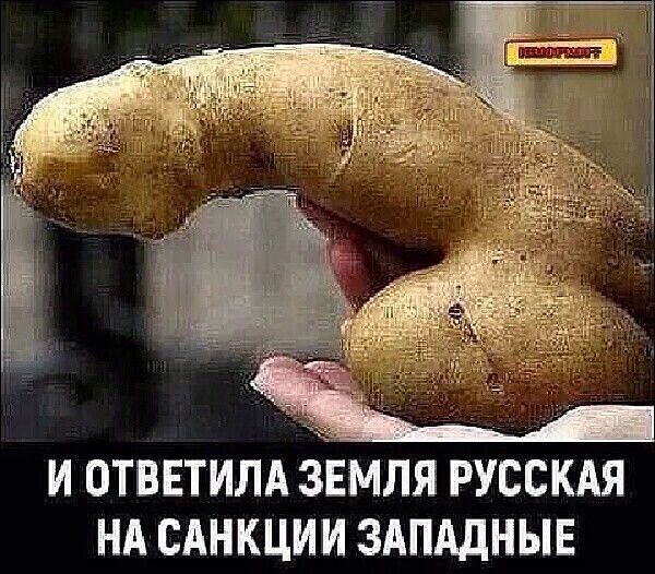 И ОТВЕТИЛА ЗЕМЛЯ РУССКАЯ НА САНКЦИИ ЗАПАДНЫЕ