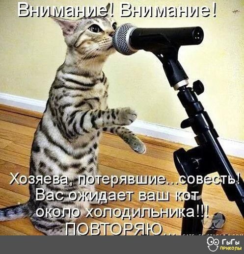 _ 4 Внитагіуь яшыыщ шта ОЁ1 31Ш