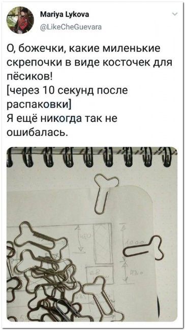 Мапуа укоуа нккеснесиеуага о, божечки, какие миленькие скрепочки в виде косточек для пёсиков! Через 10 секунд после распаковки я ещё никогда так не ошибалась.