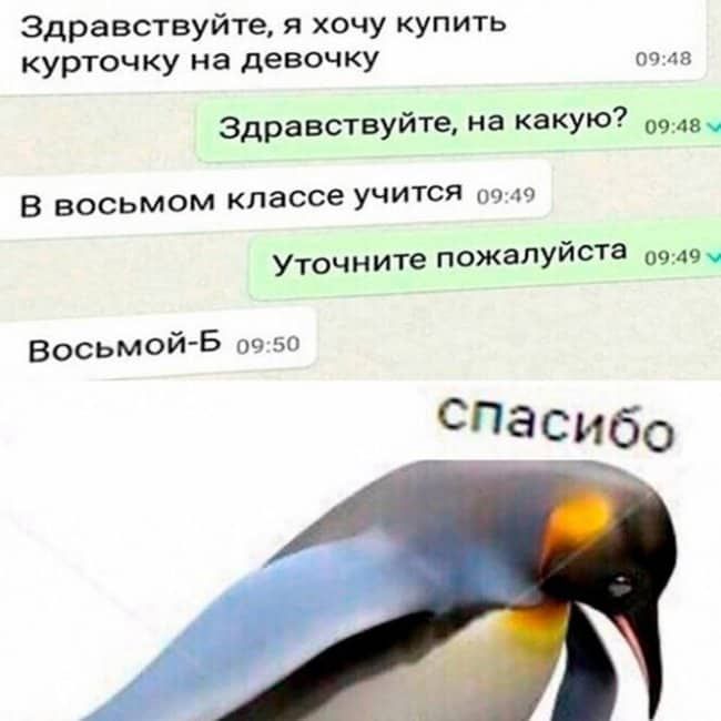 Здравствуйте, я хочу купить курточку на девочку 09:48 здравствуйте, на какую? 0948 . В восьмом классе учится 09:49 уточните пожалуйста 0949 восьмойб 09:50 спасибо