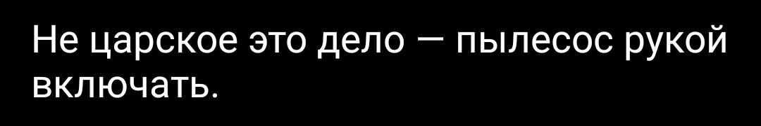 Не царское это дело  пылесос рукой включать.