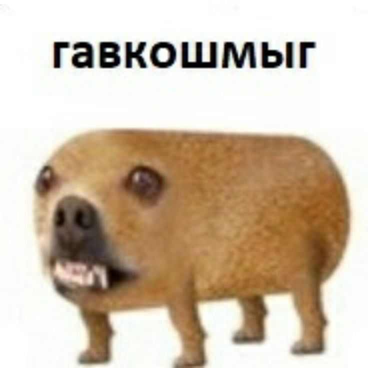 ГЗВКОШМЫГ