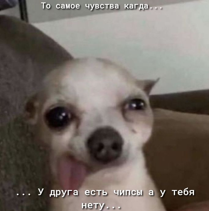 Тэ 9 эуэзгаш вища