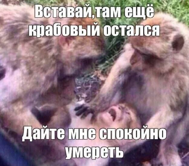 Чаппи еше ипаііовый остйпЁ _ и ч 3 дайтесм пианино в чт ш