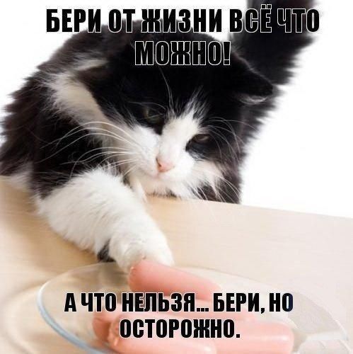 Ачто'нельзя... Бери, но осторожно.
