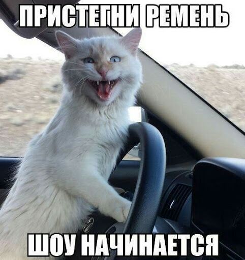 ши йдчинйітен