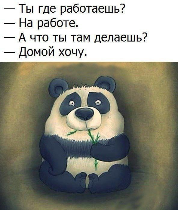 Ты где работаешь На работе А что ты там делаешь Домой хочу