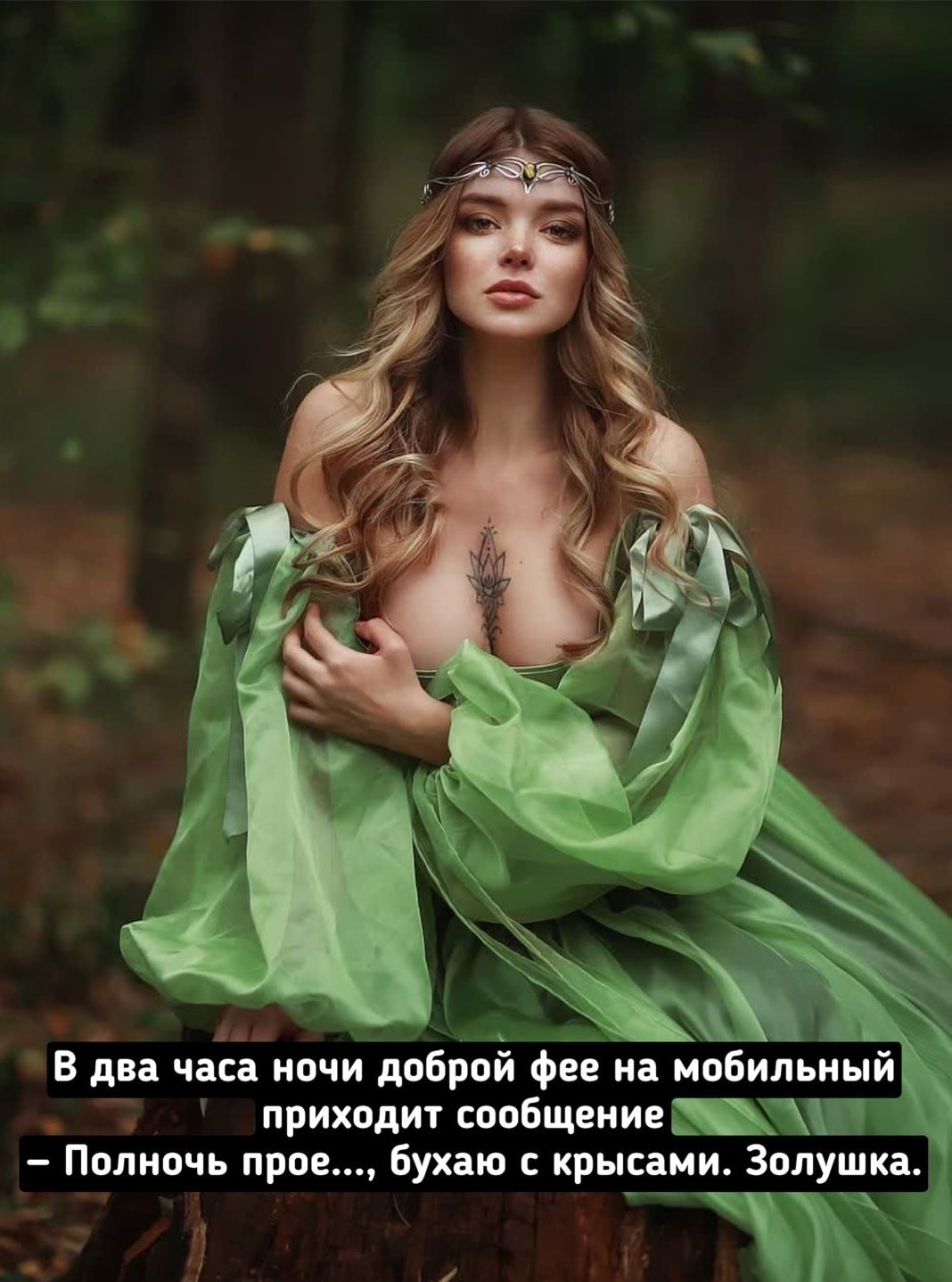 В два часа ночи добРоЙ фёе На мобильный приходит сообщение у Полночь прое бухаю крысаги Золушка _ _ _ г