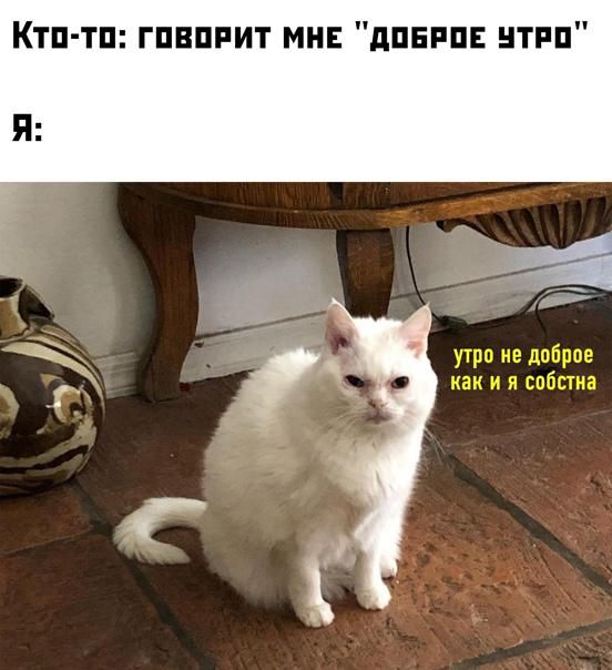 Ктп тп гпвппит мн дпни нтпп Я