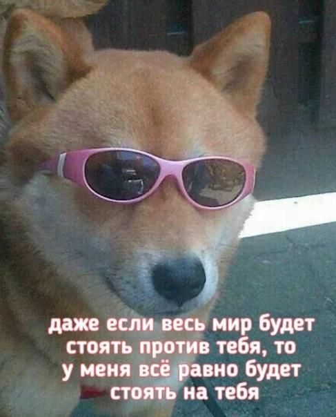 даже есііиьресь мир Будет стоять про тебя то у меня в века Будет сто на тебя