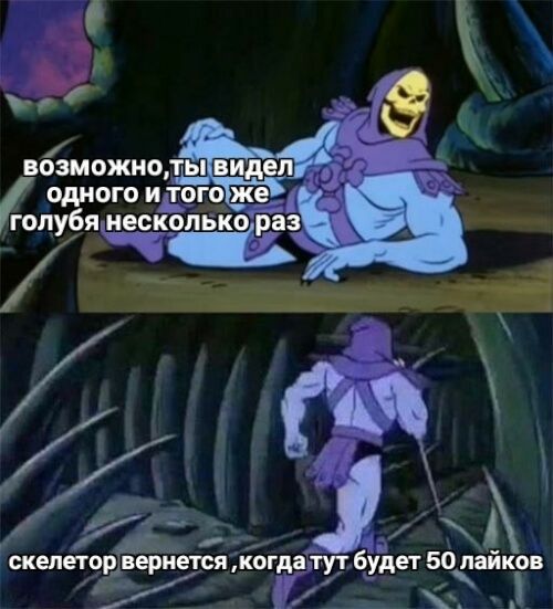 возможно ть виде одного А того БЕЗ олубя несколько раз ЧС