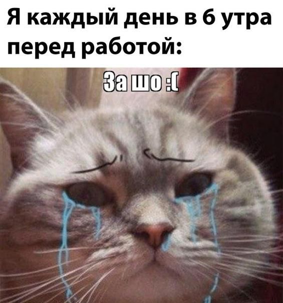 Я каждый день в 6 утра перед работой За 1 _ чью ъ _