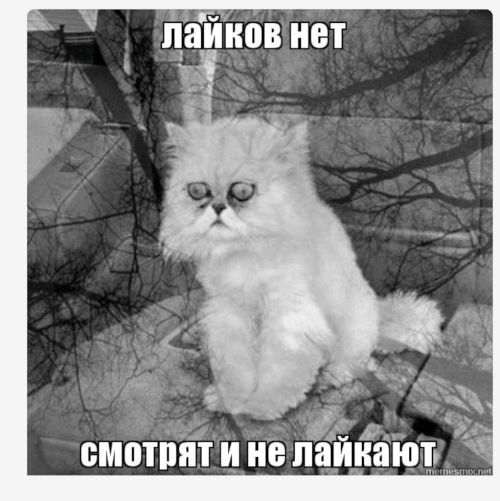 Лайков нет с 5 2 смотпят и 