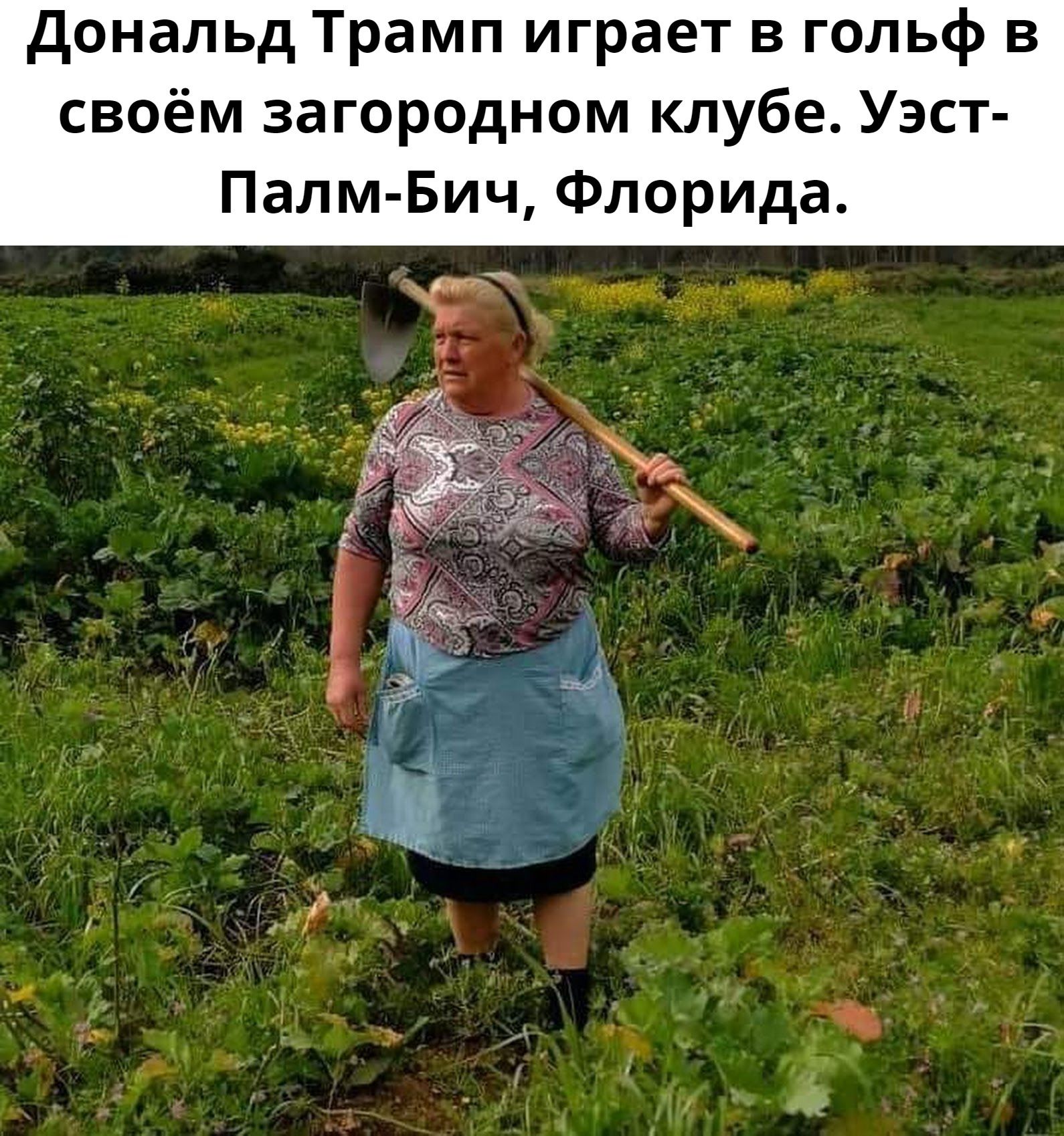 дональд Трамп играет в гольф в своём загородном клубе Уэст Палм Бич Флорида