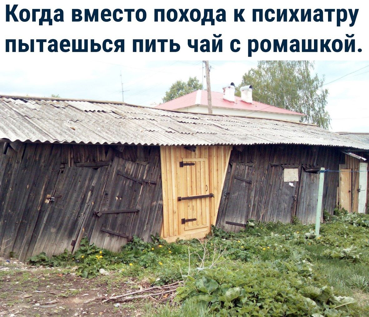 Когда вместо похода к психиатру пытаешься пить чай с ромашкой
