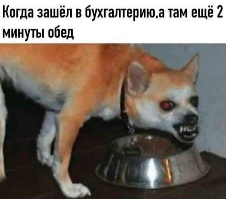 Когда зашёл в бухгалтериюа там ещё 2 минуты обед ъ ь