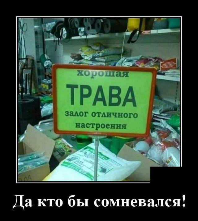 Да кто бы сомневался