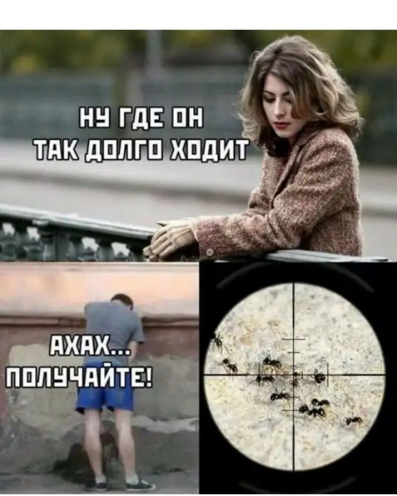 НН ГДЕ ПН ТдКдППГПХПдИТ ППЛЁЁПИТЁ