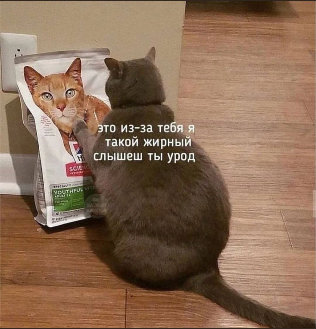 _ из за те такой жирны