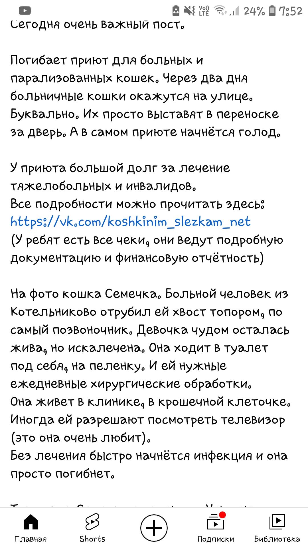 в 3 2 24 П 7352 Сегодня очень ВаЖНЫй ПОСТО Погибает приют для больны и парализованны кошеко Через два дня больничные кошки окаутся на улице Буквально Их просто выставят в переноске за дверь А в самом приюте начнётся голода У приюта большой долг за лечение ТЯЖЗЛОбоЛЬНЫХ и инвалидов Все подробности можно прочитать здесь ННр8сот05ЫЁпіт_92ат_пеі У ребят есть все чекич они ведут подробную документацию 
