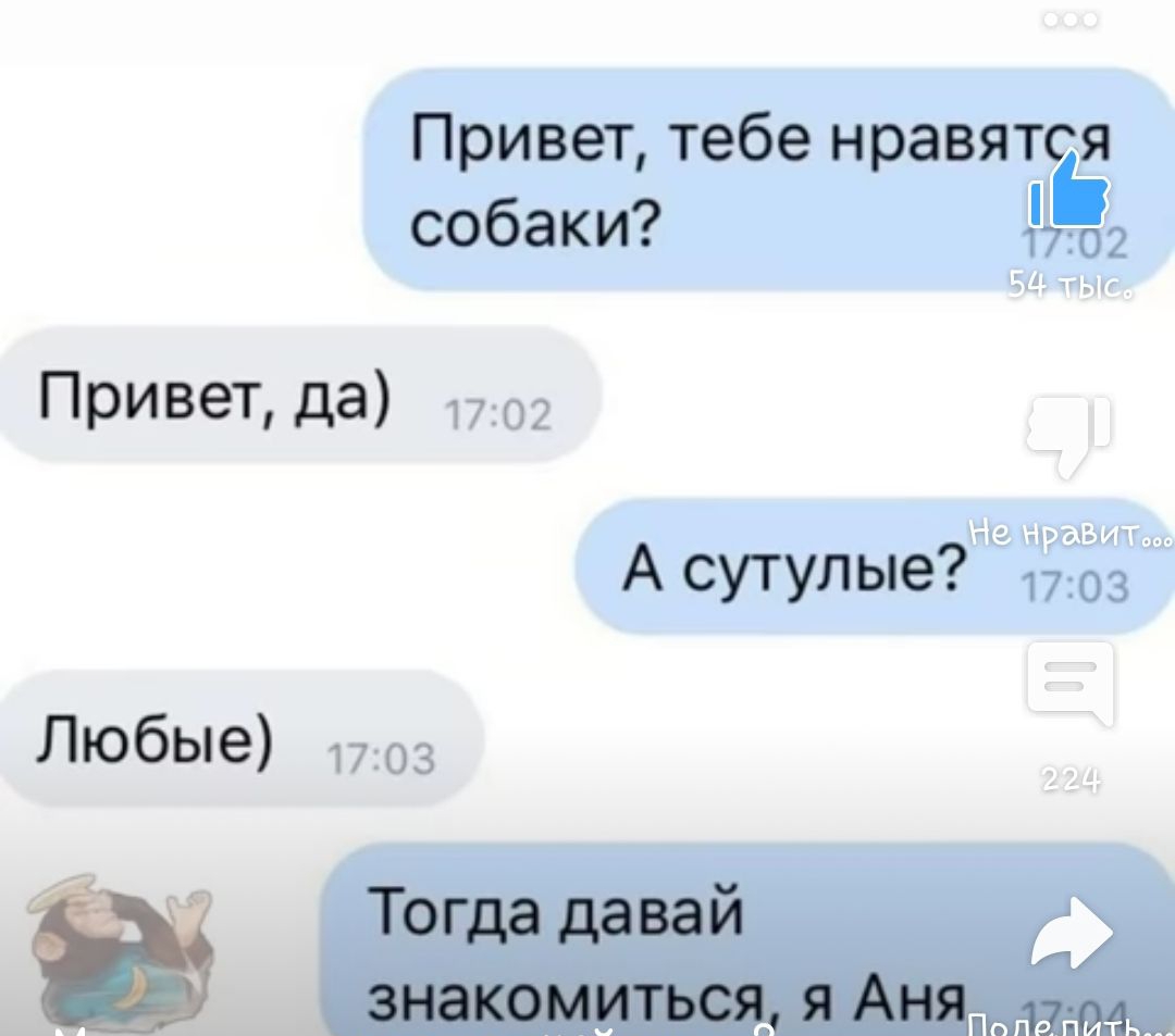 Привет тебе нравятся собаки 12 ііёг Ы Гг Привет да 1702 Бити А сутулые 1703